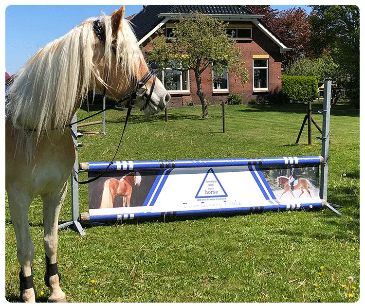 Hindernisdoek voorbeeld home3